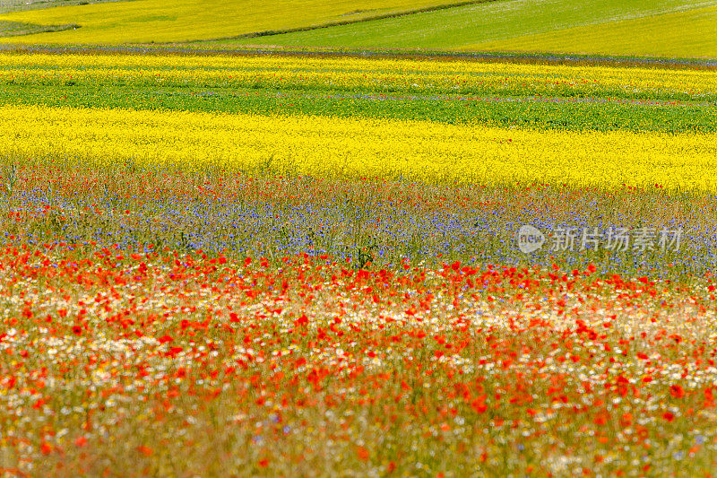 Piano Grande di Castelluccio(意大利)，绿色山丘上的村庄